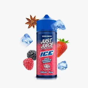 100ML JUST JUICE WILD BERRIES ANISEED